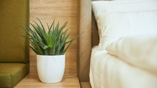 Rioca Vienna Posto 1 Aparthotel Rum bild